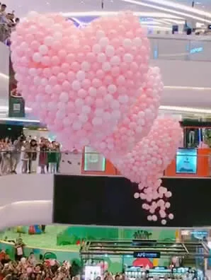 Balloon Heart Drop Net